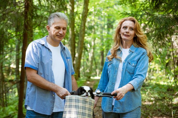 Quels sont les atouts et faiblesses des remorques de vélo pour chiens ?